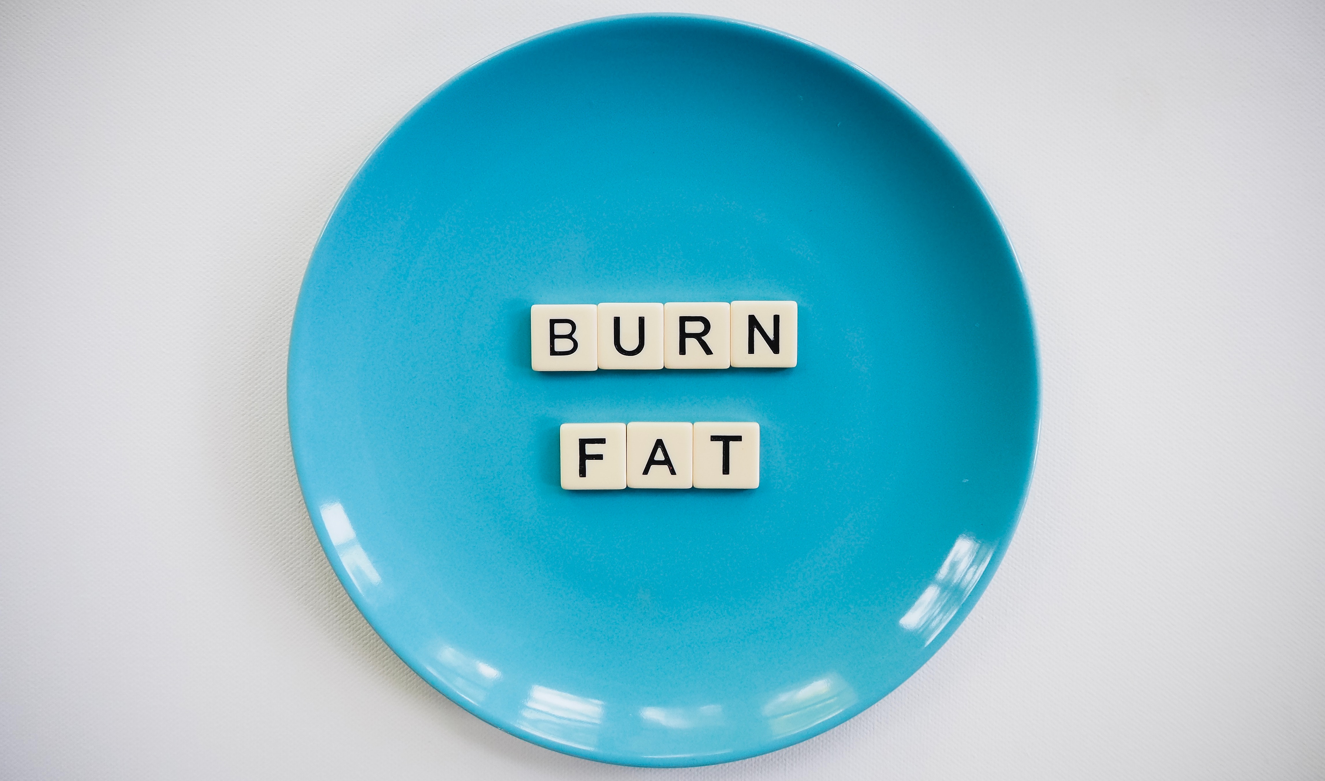 burn fat metabolism